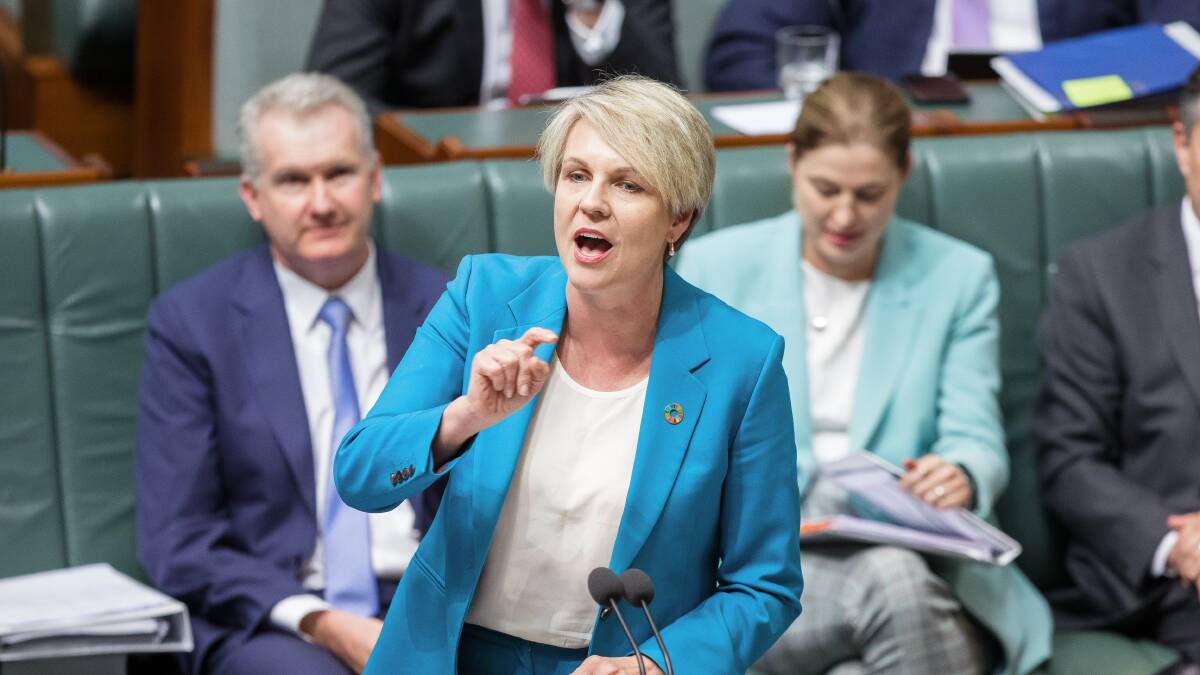 Environment minister Tanya Plibersek in question time. Picture by Sitthixay Ditthavong