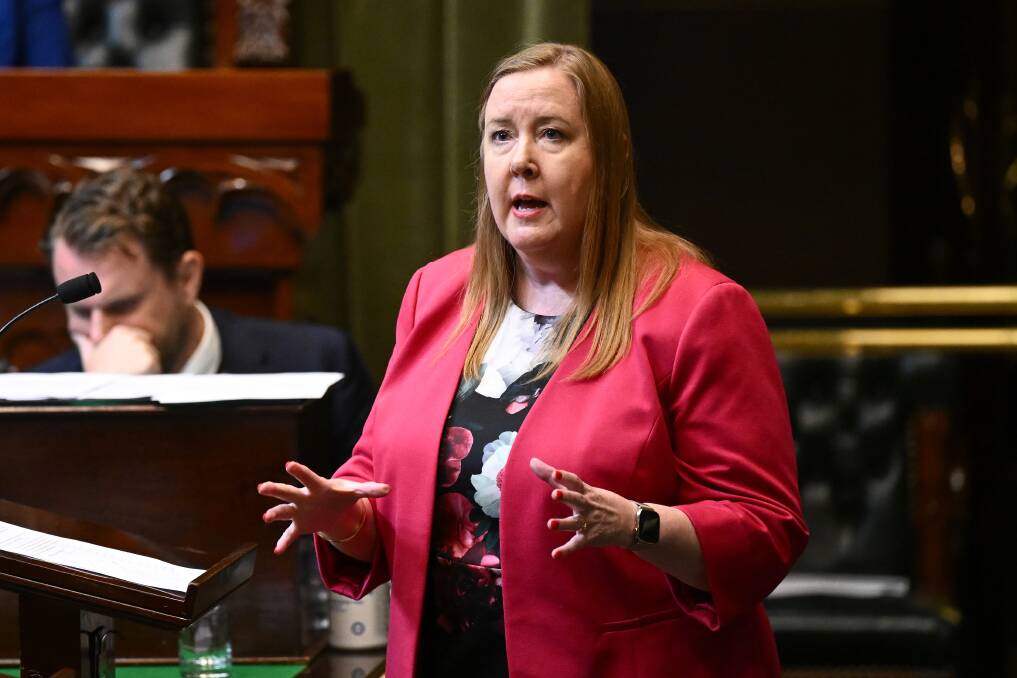 Member for Maitland Jenny Aitchison said she heard 'a cat meow' sound from the opposition benches during question time.