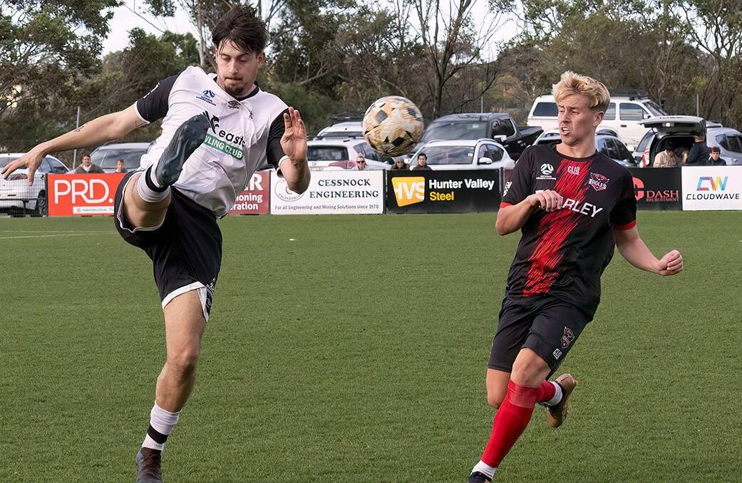 Maitland's Ty Cousins in action against Edgeworth at Cooks Square Park in round 19 of the Northern NSW NPL. Picture by Graham Sport and Nature Photography