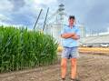 Merced Farming operations manager Sam Kahl, Glencoe, Wee Waa, with their corn crop and newly installed on-farm storage. Picture by Elka Devney
