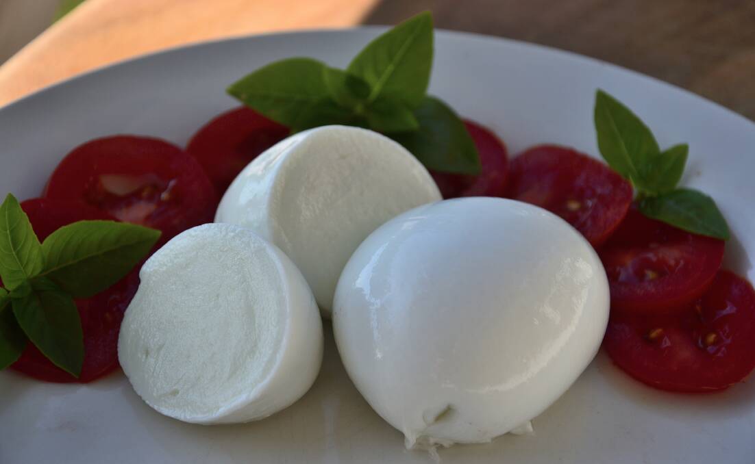 Simply the best: Burraduc buffalo mozzarella, winner of a 2018 delicious Award for best in NSW.