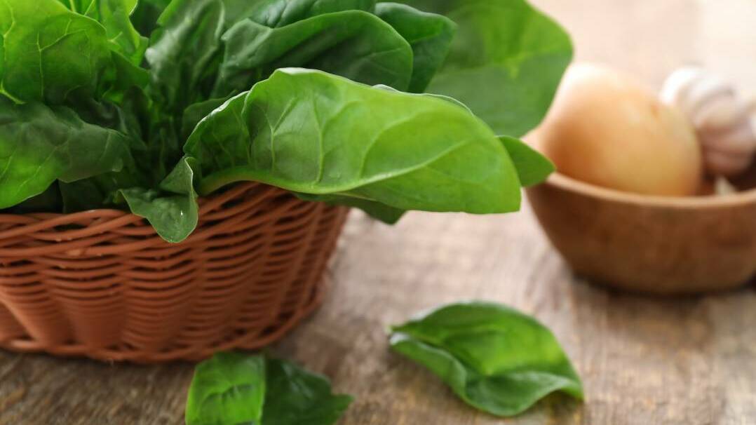GREEN THUMB: Spinach is a valuable vegetable to grow in the home garden, from a number of points of view.