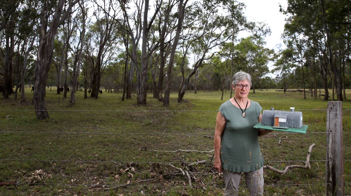 REMEMBERING: Maitland Regional Museum president Janece McDonald at the site of the former Greta Migrant Camp. It is the camp's 70th anniversary next year. Picture: Marina Neil