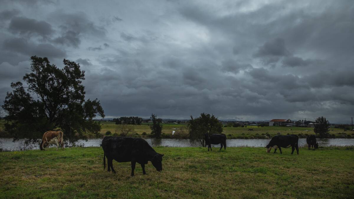 It was a dreary day in Maitland on Tuesday after a battering of rain. Picture: Marina Neil