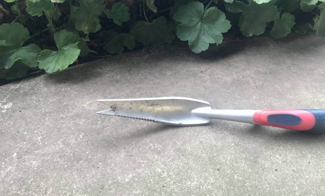 Tool: Beware when using this tool to remove broad-leaf weeds - it can become quite addictive.