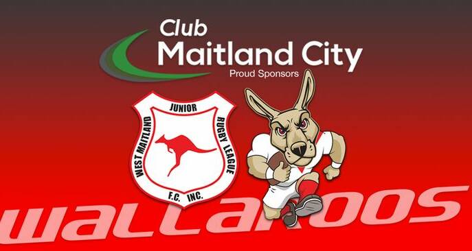 West Maitland claims four junior premierships