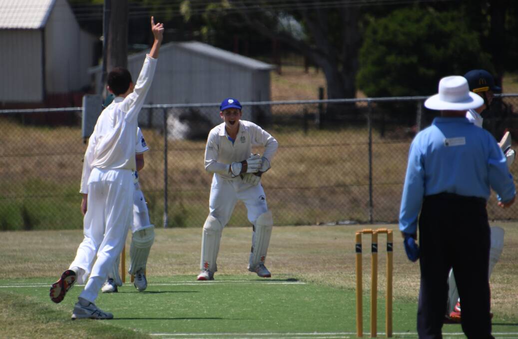 OUT: Jay Boyd appeals and keeper Max Farmer celebrates the dismissal of Central Coast batsman Austin Haba at Tenambit Oval yesterday. Picture: Michael Hartshorn
