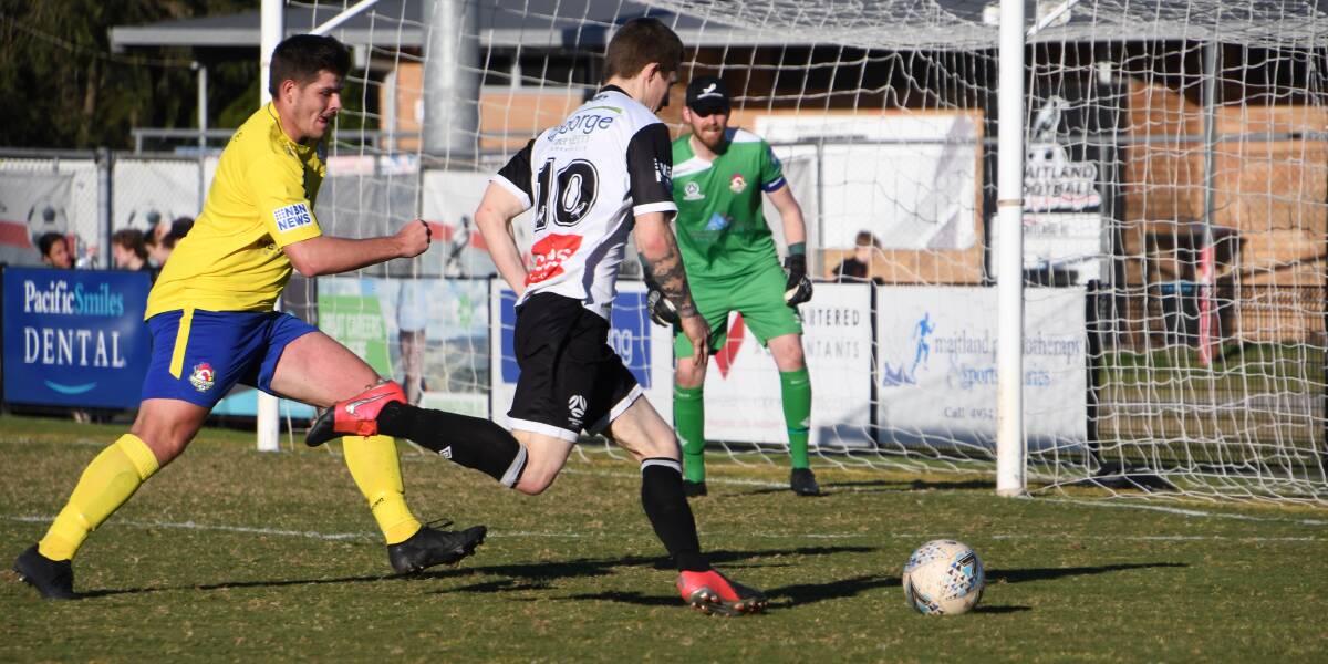 DOUBLE: Braedyn Crowley (pictured) and Joel Woods scored doubles for Maitland on Sunday, but created plenty more chances. 