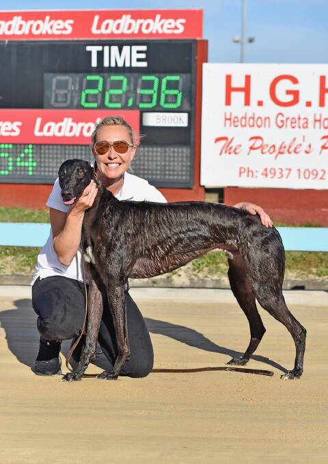 HARD TO BEAT: Michelle Sultana with Ladbrokes Maitland Future Stars Maiden Final favourite Drink Shoeys after his 400m heat win in an impressive 22.36s.