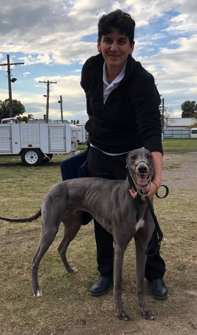 HARD TO BEAT: Mandy Morrison with Bear's Octane, a finalist in the City Hotels Challenge at Maitland Greyhounds on Thursday.