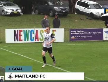 Bradeyn Crowley celebrates after scoring his second goal in Maitland's 4-0 win against Newcastle Olympic. Picture: Still from BarTV