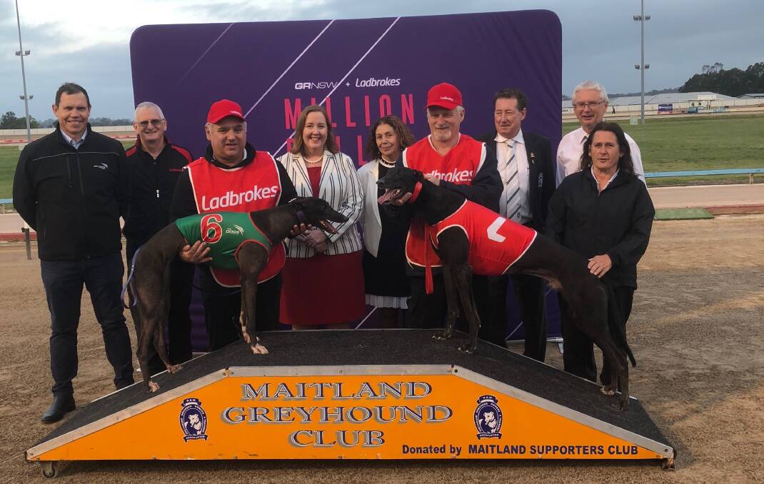 Greyhound Racing NSW CEO Tony Mestrov, Ladbrokes business development manager Keith Lamb, Maitland MP Jenny Aitchison, Maitland Mayor Loretta Baker, NSW GBOTA director Gary Minter, Maitland Greyhound Club manager Tony Edmunds and trainer Donna Campbell with Million Dollar Chase Maitland regional final winner Big Black (No1) and runner-up She's Gifted (No6).