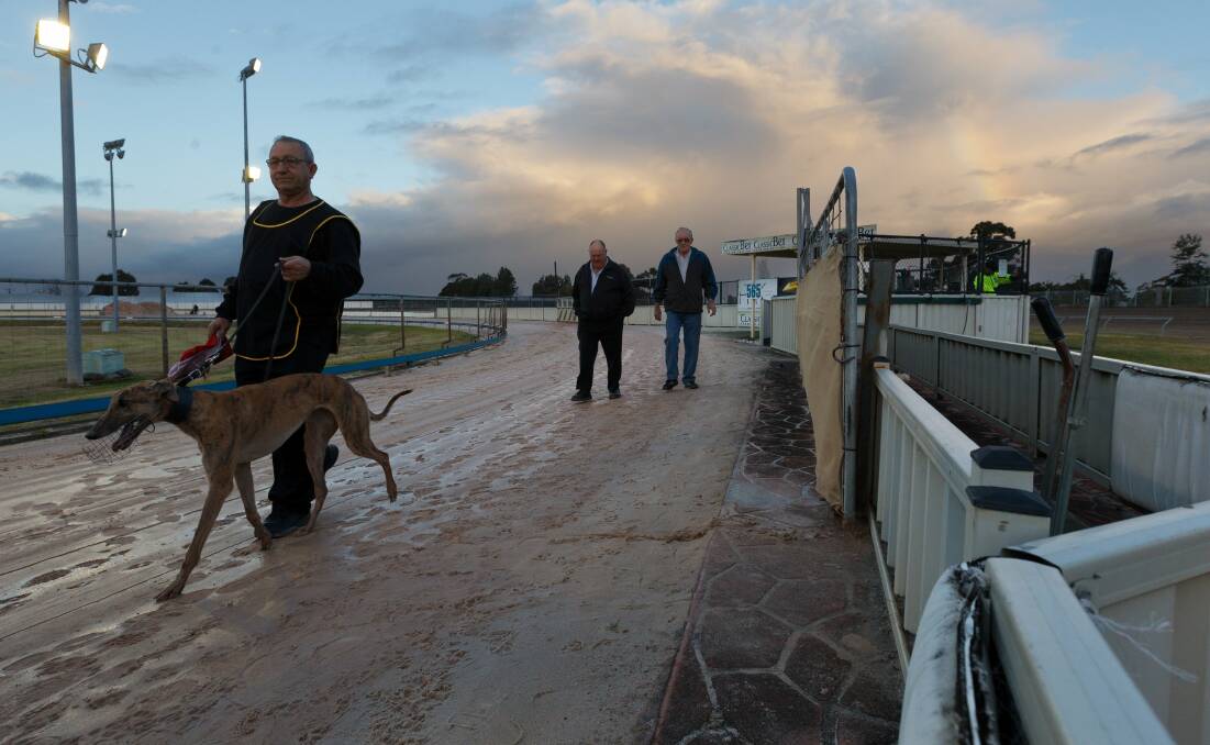 GET ALONG: Maitland Greyhound Club is calling on the Hunter community to get behind its fight to overturn a ban on greyhound racing. Picture: Max Mason-Hubers