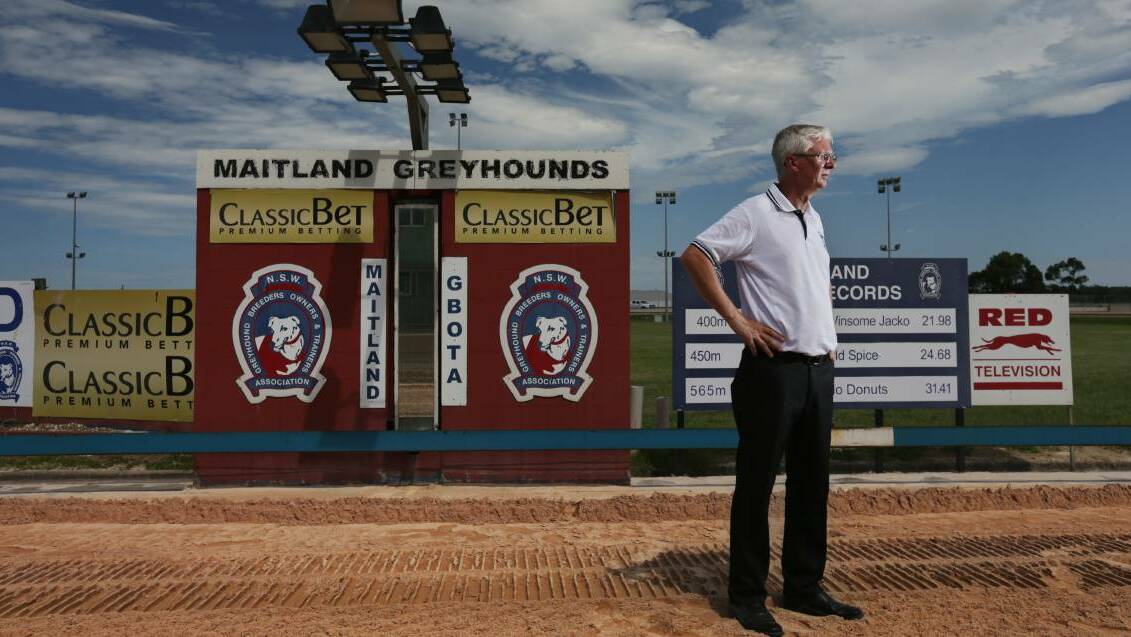 EXCITING FIELDS: Maitland Greyhounds manager Tony Edmunds. Picture: Simone De Peak