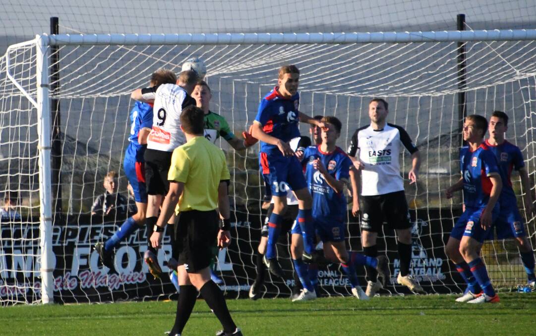 MAGIC MOMENT: Andrew Swan rises above the pack to head the winner against Newcastle Jets Youth. Picture: Michael Hartshorn