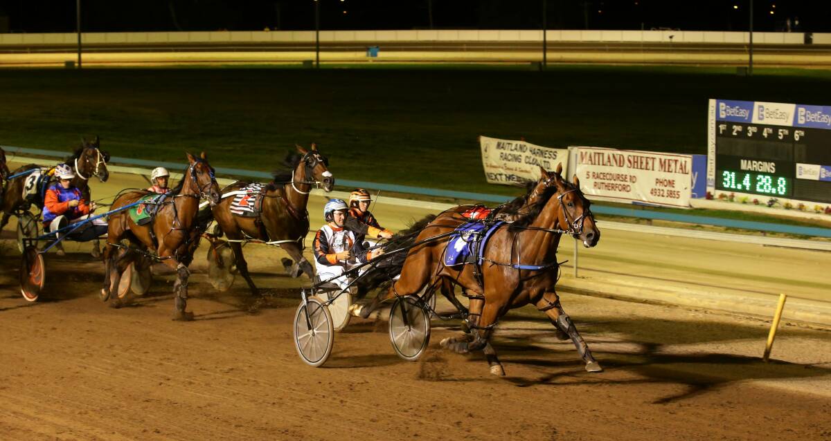 EXCITEMENT: The colour and excitement of harness racing returns to Maitland Showground on Sunday. 