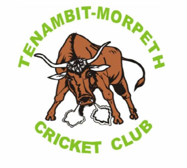 The Tenambit Morpeth Bulls return to first grade cricket this season.