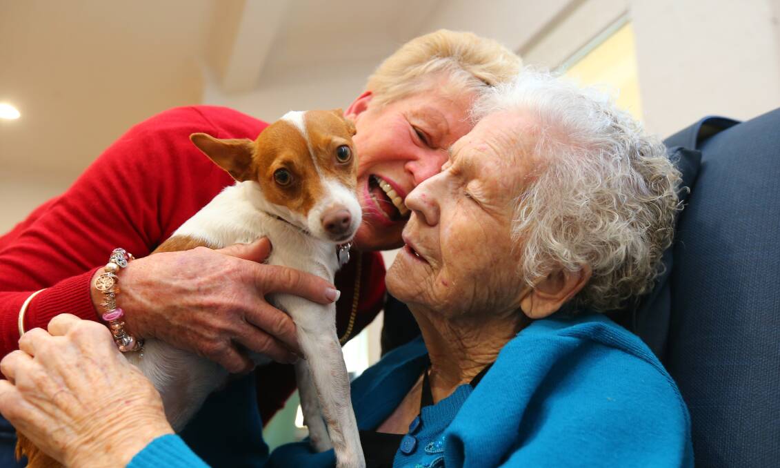 Seniors: Annie the Tenterfield Terrier and her owner Helen Head visiting residents of Fitzgerald Aged Care Windsor in 2018. Picture: Geoff Jones.