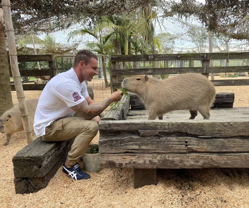 UP CLOSE: Hunter Valley Wildlife Park head zookeeper Chad Staples feeds a capybara, one of three new encounters on offer at the Nulkaba facility. Picture: Krystal Sellars