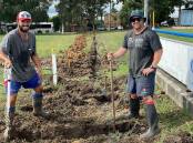 ALL HANDS ON DECK: Kurri Bulldogs first grader Brodie Linnane and Old Boy Ian McDonald digging a location for water pipe.
