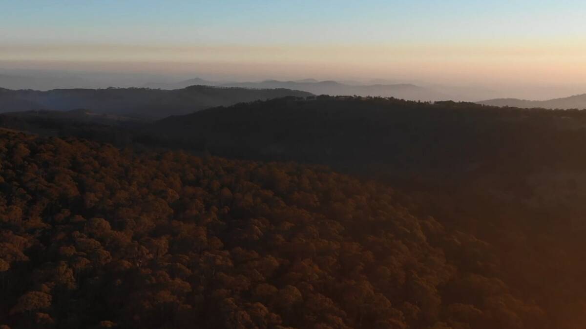 Conservation Goals: Aussie Ark's Barrington Tops wildlife sanctuary. The organisation is seeking to expand its land to protect threatened species. 
