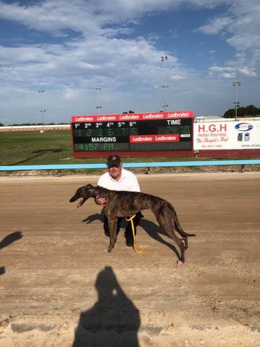HARD TO BEAT: Fernando Blaster, winner of heat two last Thursday, has drawn box 1 for this year's Husqvarna Maitland Gold Cup final over 450 metres, and will be heavily backed. 