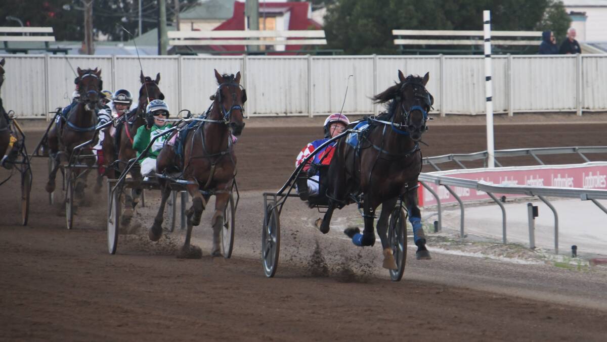 FEATURE EVENT: A crack field will line up in heats for the time-honoured Maitland Inner City Pace this Sunday at Maitland Showground. Picture: Michael Hartshorn