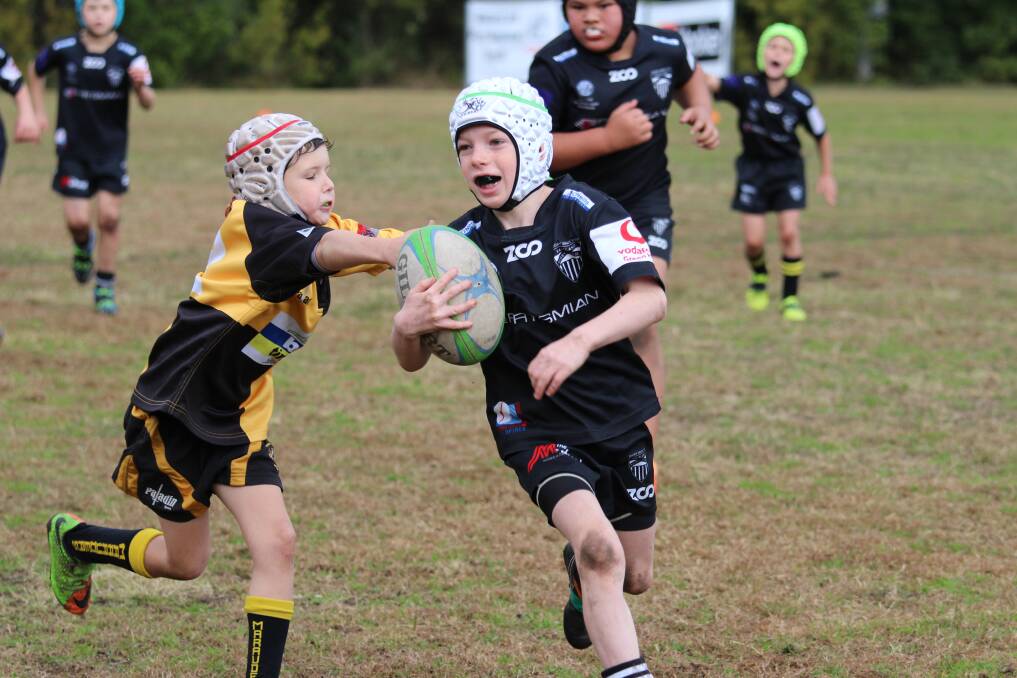 SPRINGBOARD: Maitland Junior Rugby Club is affiliated with the senior Blacks club and provides clear pathways to  representation for those interested.