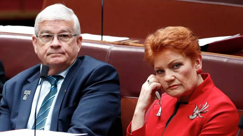 One Nation senators Brian Burston and Pauline Hanson are at odds over the party's position on company tax cuts.

Photo: Alex Ellinghausen