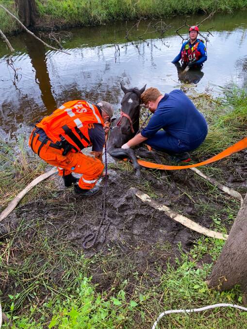 RESCUE: It took SES and NSW Fire and Rescue several hours to save the horse. Picture: Port Stephens SES