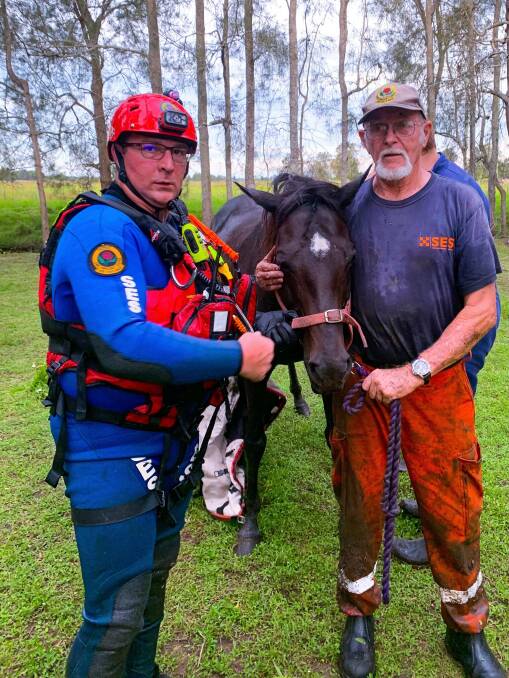 Three-hour rescue to save horse Dippy