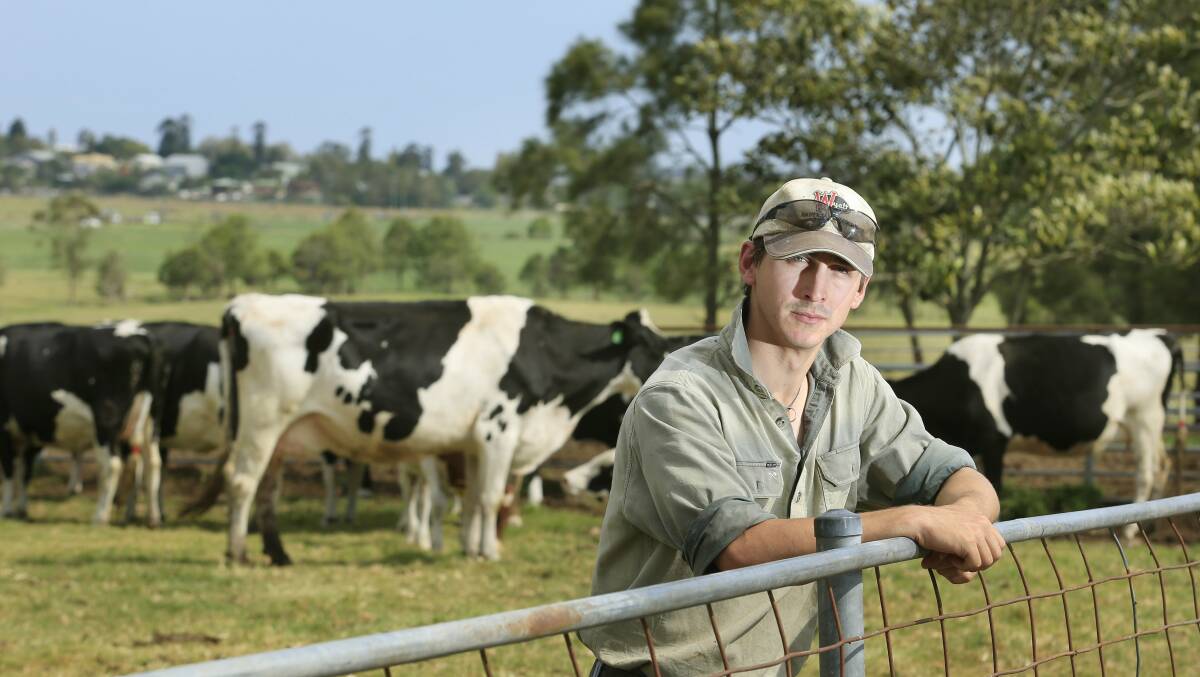 QUIRKY CONCEPT: Dairy farmer Matt Neilson says an adopt a cow program could help smaller herds survive a drought. 