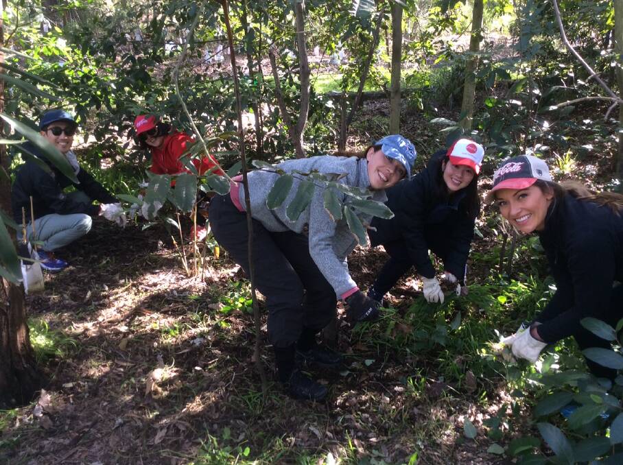 MAKING A DIFFERENCE: Coca-Cola employees at the site off Metford Road in Tenambit. 