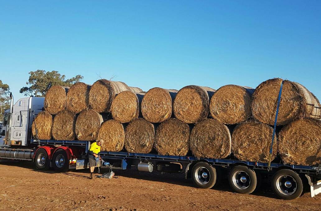 HELP: A truck loads of hay from the Buy A Bale Hunter campaign.