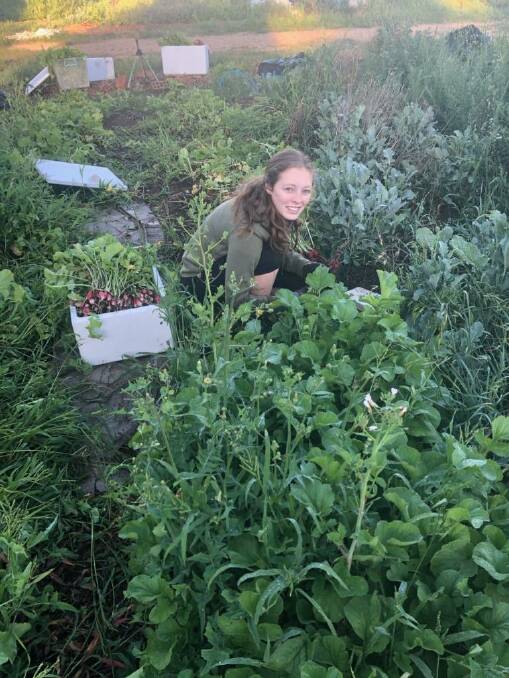 HELPING HAND: Sarah Higgins, a year 10 Hunter Valley Grammar School student, gave up the first day of her school holiday break to help farmers.