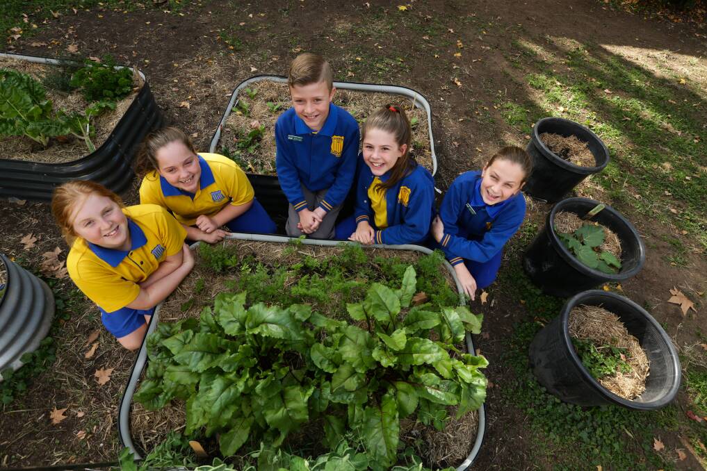 MISSION: Maitland Public School students Ava Budden, Lucy Jansen, William Jessup, Lucy Adams and Sienna Davidson with their vegetable garden. Picture: Jonathan Carroll.