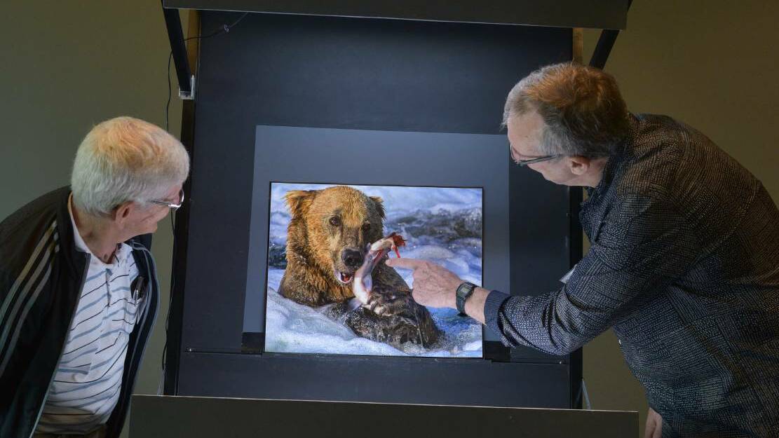 Maitland International Salon of Photography secretary Petro Holowinskyj and president Ian English look at Dany Chan's work Grizzly Feeding on Salmon. 