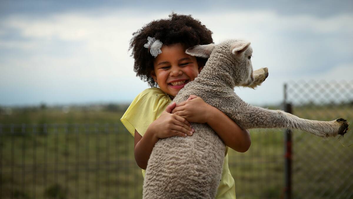 ANIMALS: Lola Omotosho, 4, with a baby lamb