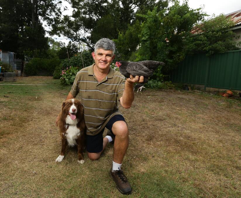 IT'S SHOW TIME: Poultry enthusiast Brod Vallance in his backyard at East Maitland with his dog and one of his birds. He is preparing to enter some of his birds in the Maitland Show. Picture: Jonathan Carroll.