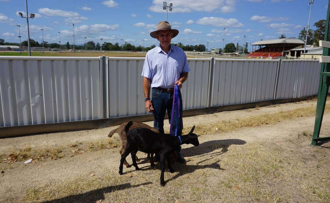 SHOW TIME: Maitland Showground manager Brett Gleeson with two of his prized dairy goats in front of the main arena. 