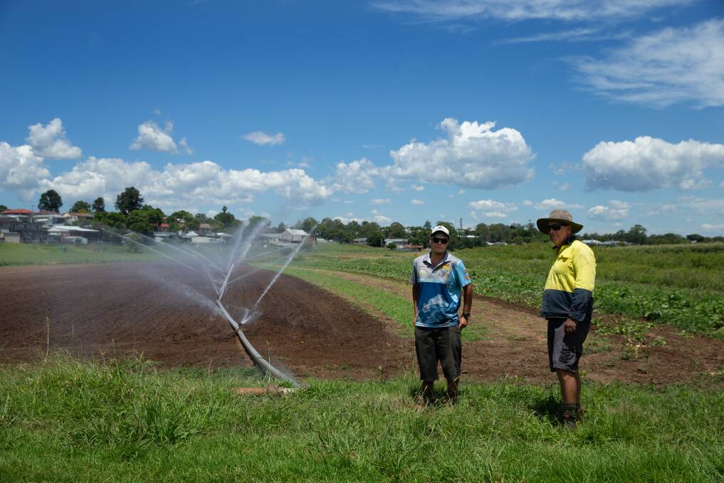 WATER NEEDS: Farmers Liam and Matthew Dennis in a field at their East Maitland farm. Picture: Marina Neil