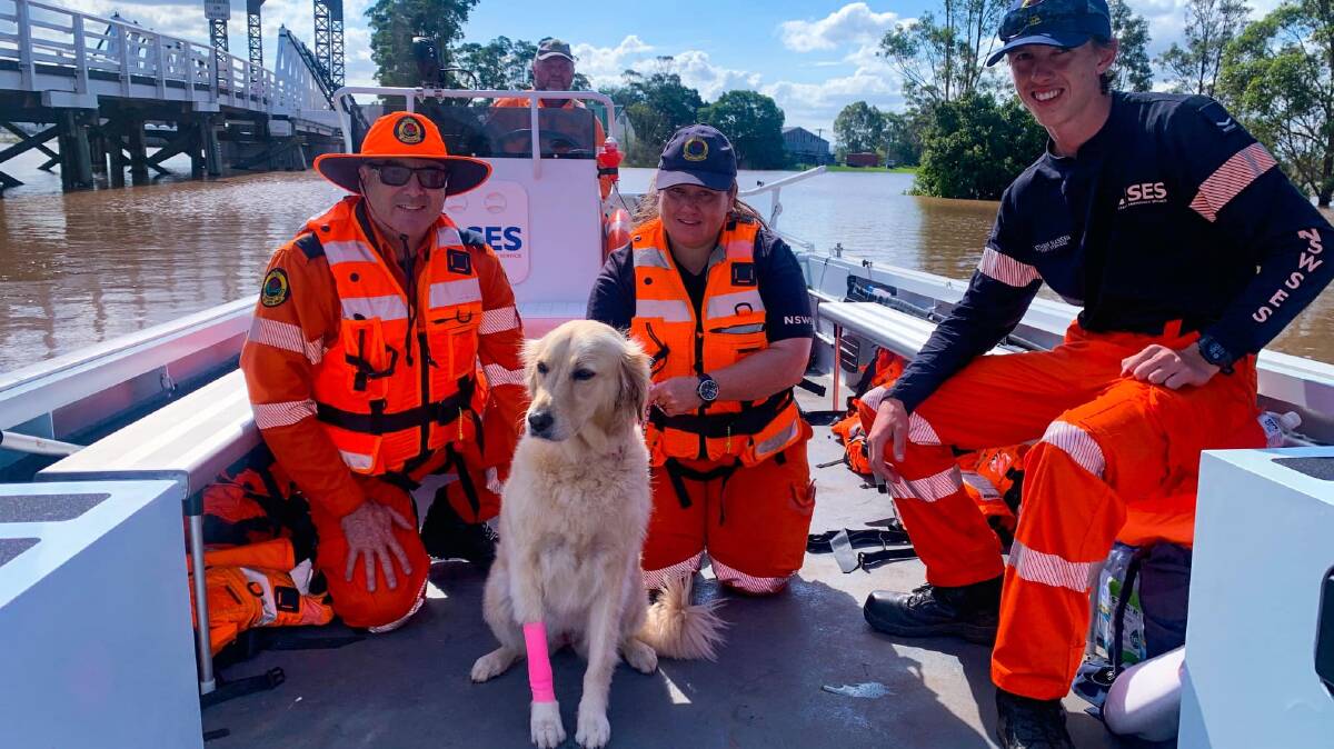 ON THE WATER: Port Stephens SES Unit volunteers with Olive the Golden Retriever on a flood boat at Hinton. Picture: Port Stephens SES Unit