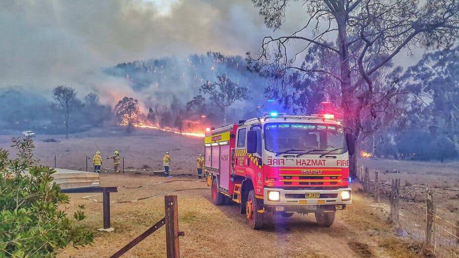 Charity trying to feed four-legged bushfire survivors