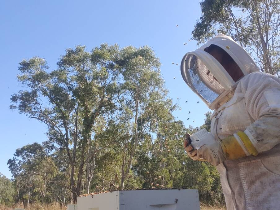HONEY: Beekeeper Jennifer Sandstrom with one of her hives before the outbreak.