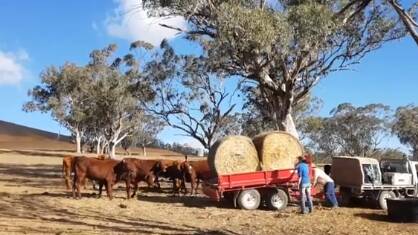 DONATED HAY: Hay from the Buy A Bale Hunter campaign arrives at a farm in Scone.
