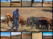 DROUGHT: More than 98 per cent of NSW is in drought, or at the onset of drought, according to the state government's Combined Drought Indicator.