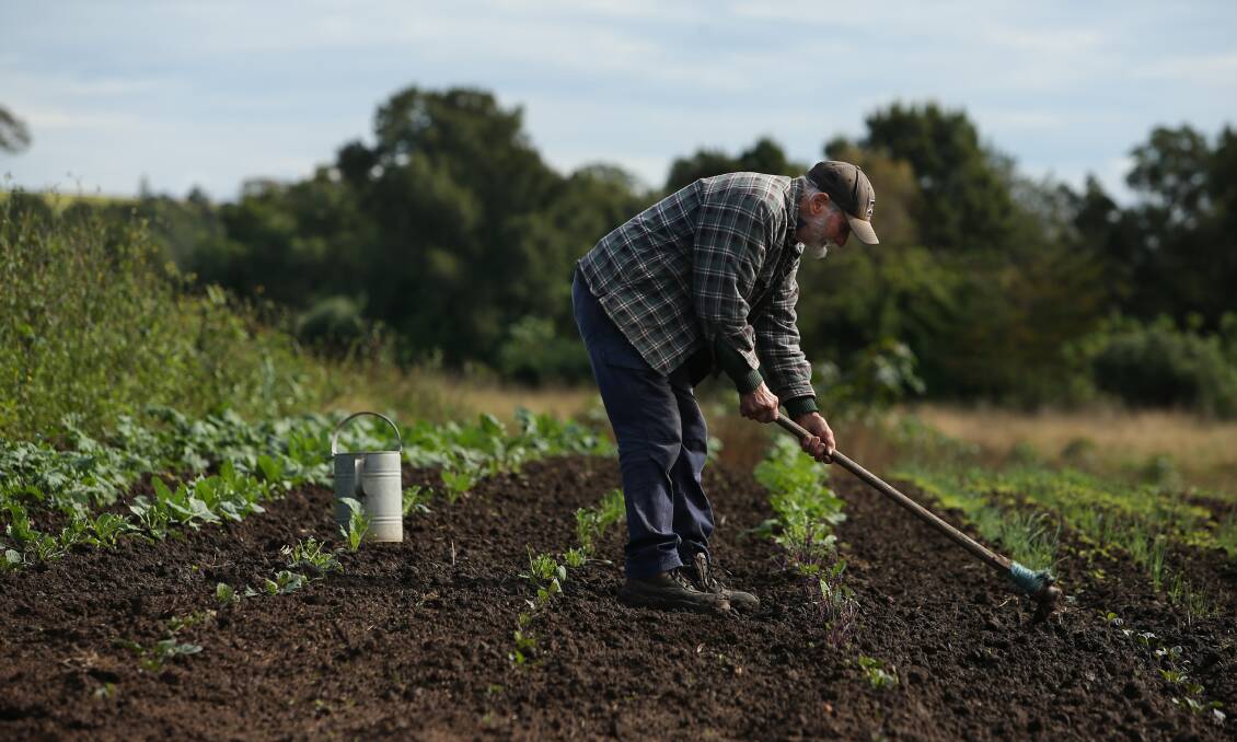 RESILIENT: Farmer Austin Breiner tending to his vegetable crops earlier this year after the March flood. Picture: Simone De Peak