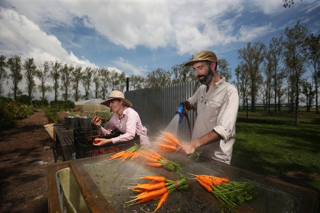 ON THE GROUND: Harriet Bell and Jo Lynch of The Good Growers cleaning produce and preparing it for a veggie box subscription. Picture: Simone De Peak 