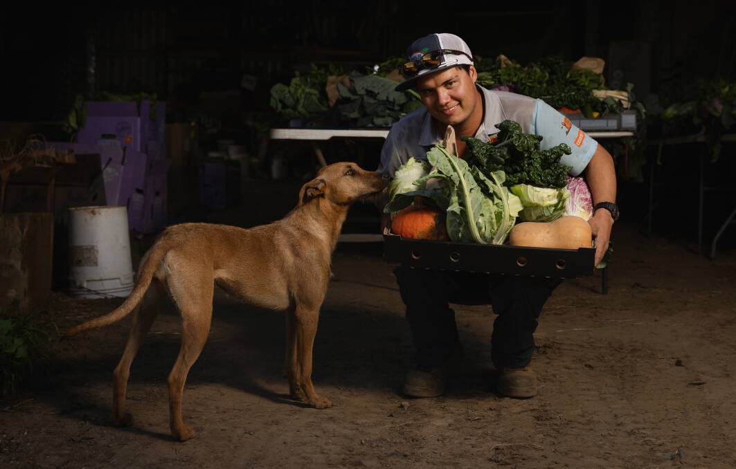 Farmer Liam Dennis at Nebo farm with some of the weekly vegetable boxes, featuring pumpkin, and dog Maizy. Picture by Marina Neil 