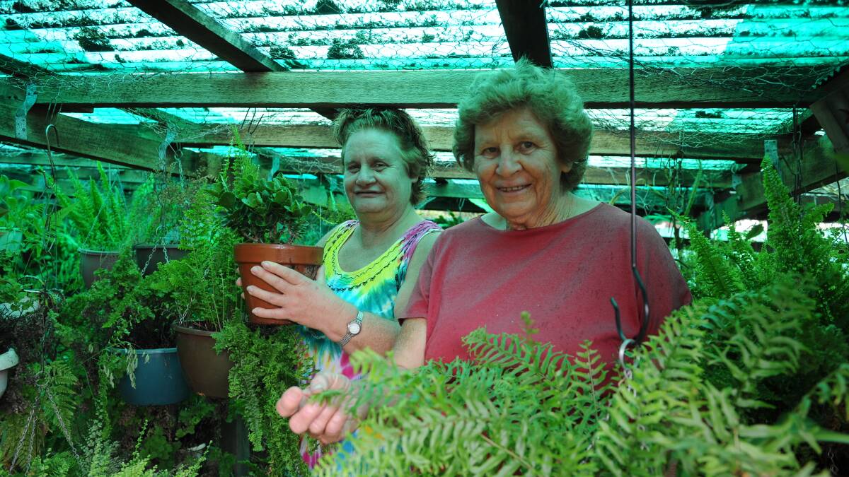 LUCKY PLANTS: Elysee Robinson and Val Robinson with some of the plants that survived the heatwave. 